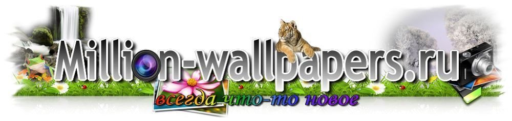 خلفيات عالية الدقة لأجهزة الكمبيوتر المحمولة والهواتف الذكية مع million-wallpapers.ru
