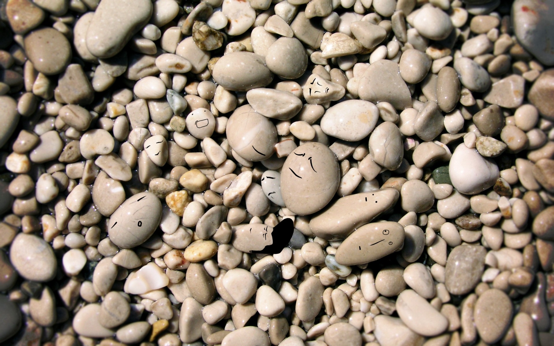 الملمس الفاصوليا روك سطح المكتب حزب عن قرب حجر اللسان العديد الجافة الحصى البذور السلس الحبوب القهوة مجردة الحصوه الغذاء الحصاد زن الحجارة الحجارة