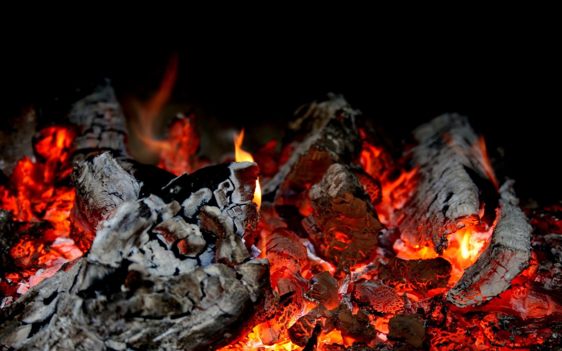 لهب نار نار موقد فحم حطب فحم رماد حرق حرارة جحيم حريق خطر مخيم ساخن وقود دخان قابل للاشتعال حرق خلفية حريق