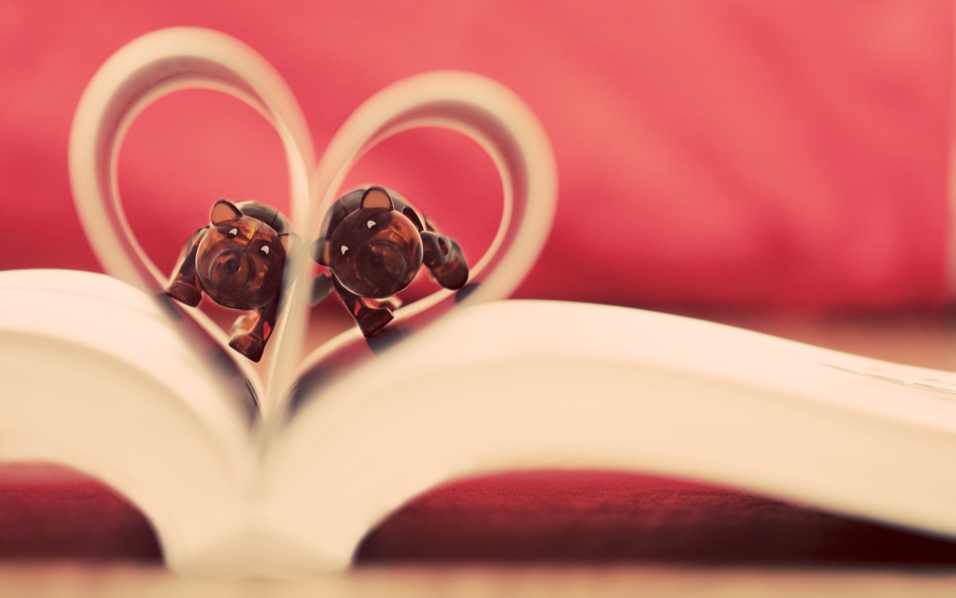 الحب الزفاف زهرة الرومانسية روز لا تزال الحياة الشراب القلب