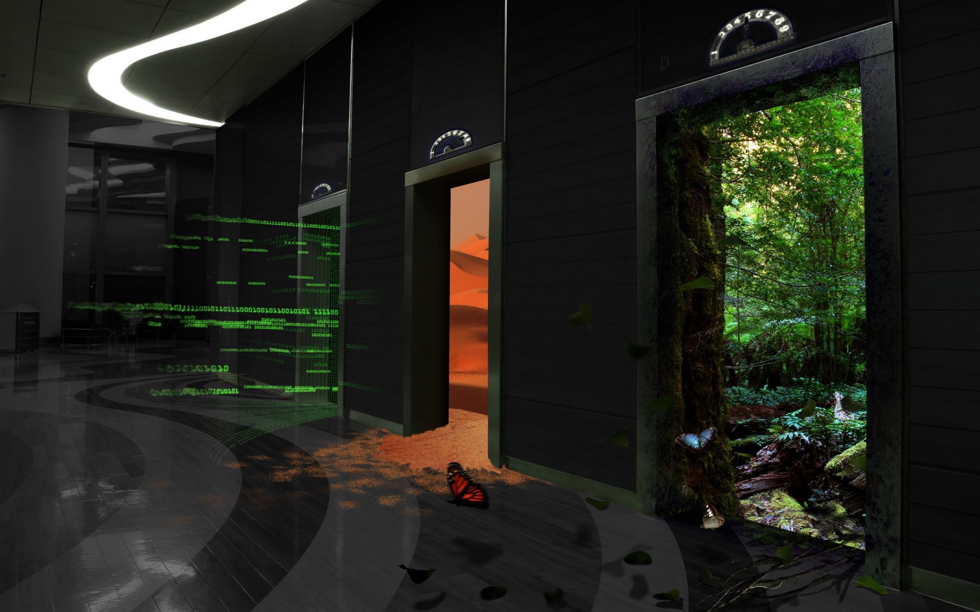 ضوء المشهد المنزل السفر الطبيعة الفن تكنو فراشة خلفية