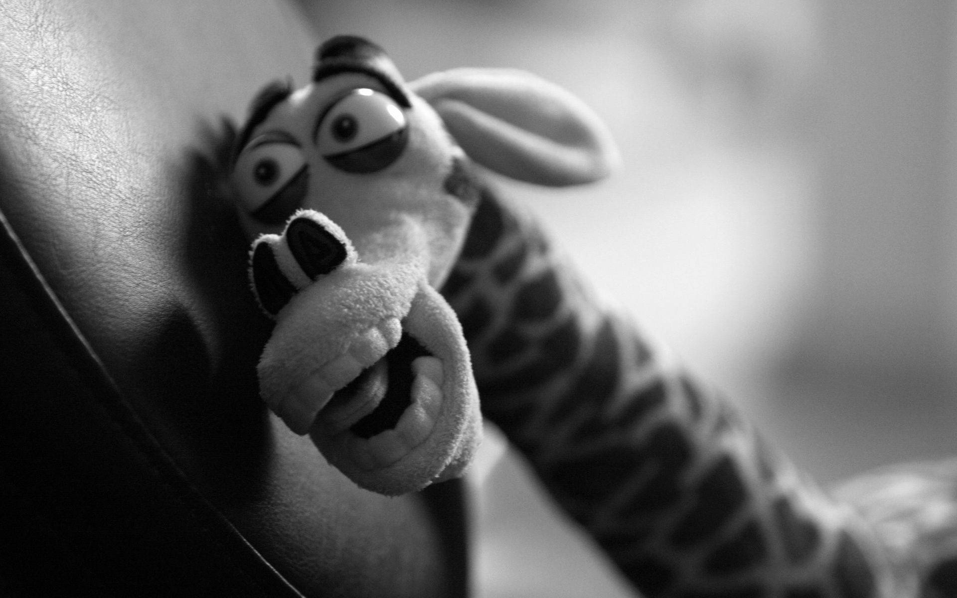 أحادية اللون رجل صورة الكبار واحد فتاة أبيض وأسود امرأة الساقين دائرة المالية عارية اليدين