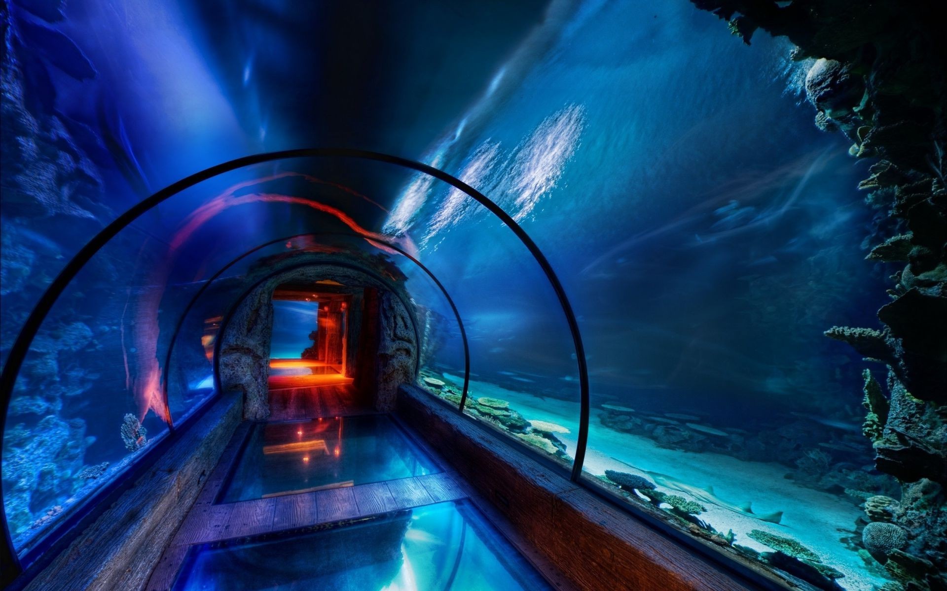 نفق ضوء طمس السفر نظام النقل المرور المساء ازدحام المرور