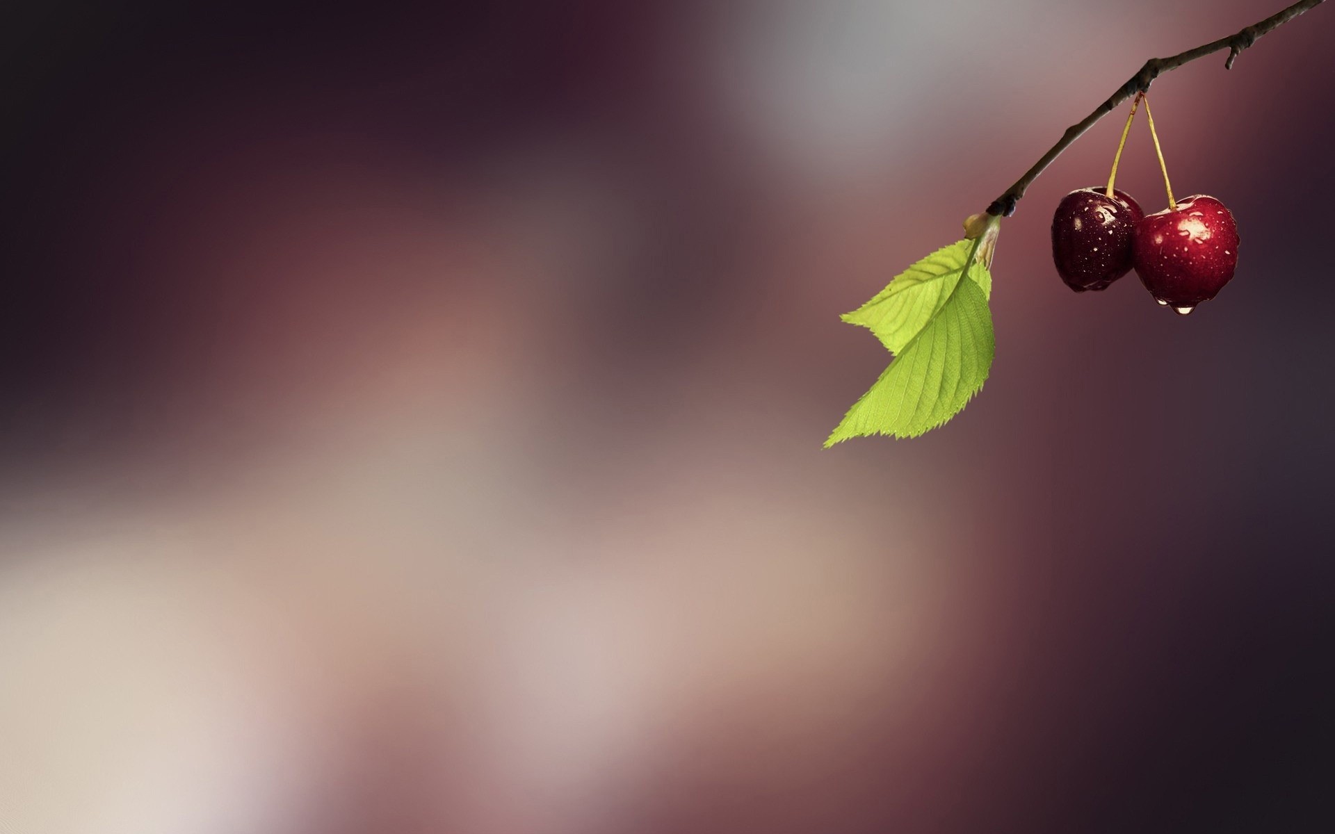 عدم وضوح الطبيعة ورقة مجردة الفن الكرز الفاكهة