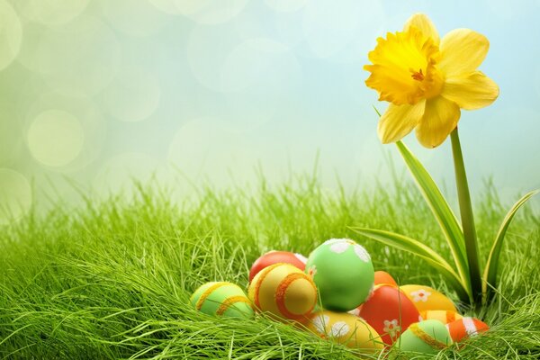 بيض عيد الفصح. متعدد الألوان. العشب مشرق
