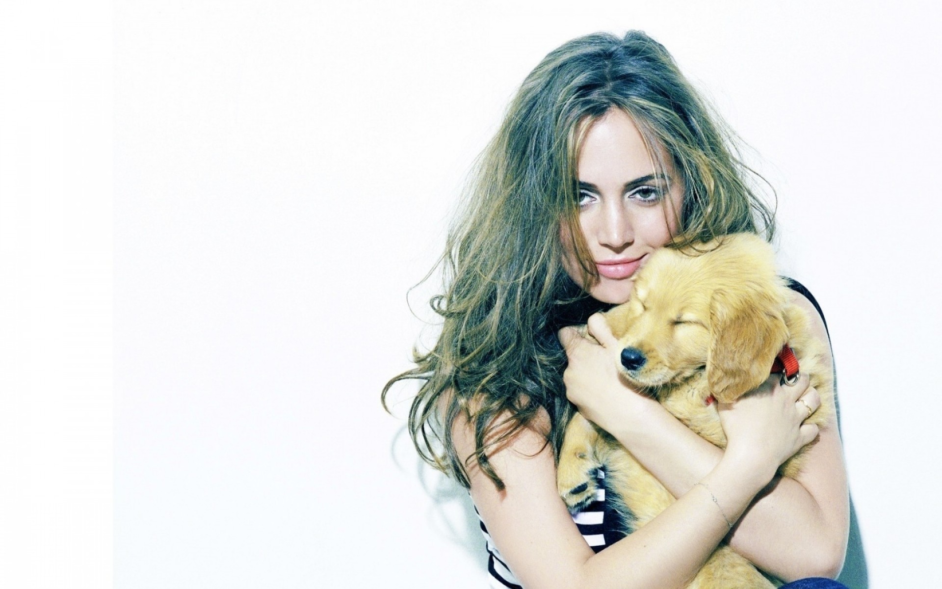 فتاة جميلة شابة امرأة صورة لطيف استوديو الأزياء سطح المكتب نموذج جميلة الشعر مثير جذابة معزولة بريق مجعد جرو الممثلة