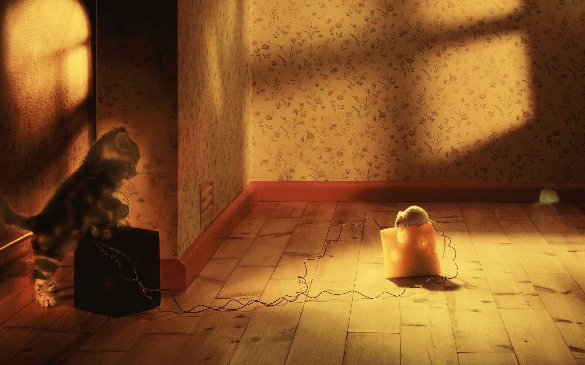 غرفة داخلية واحدة للبالغين صورة لفتاة عارية ملابس حائط