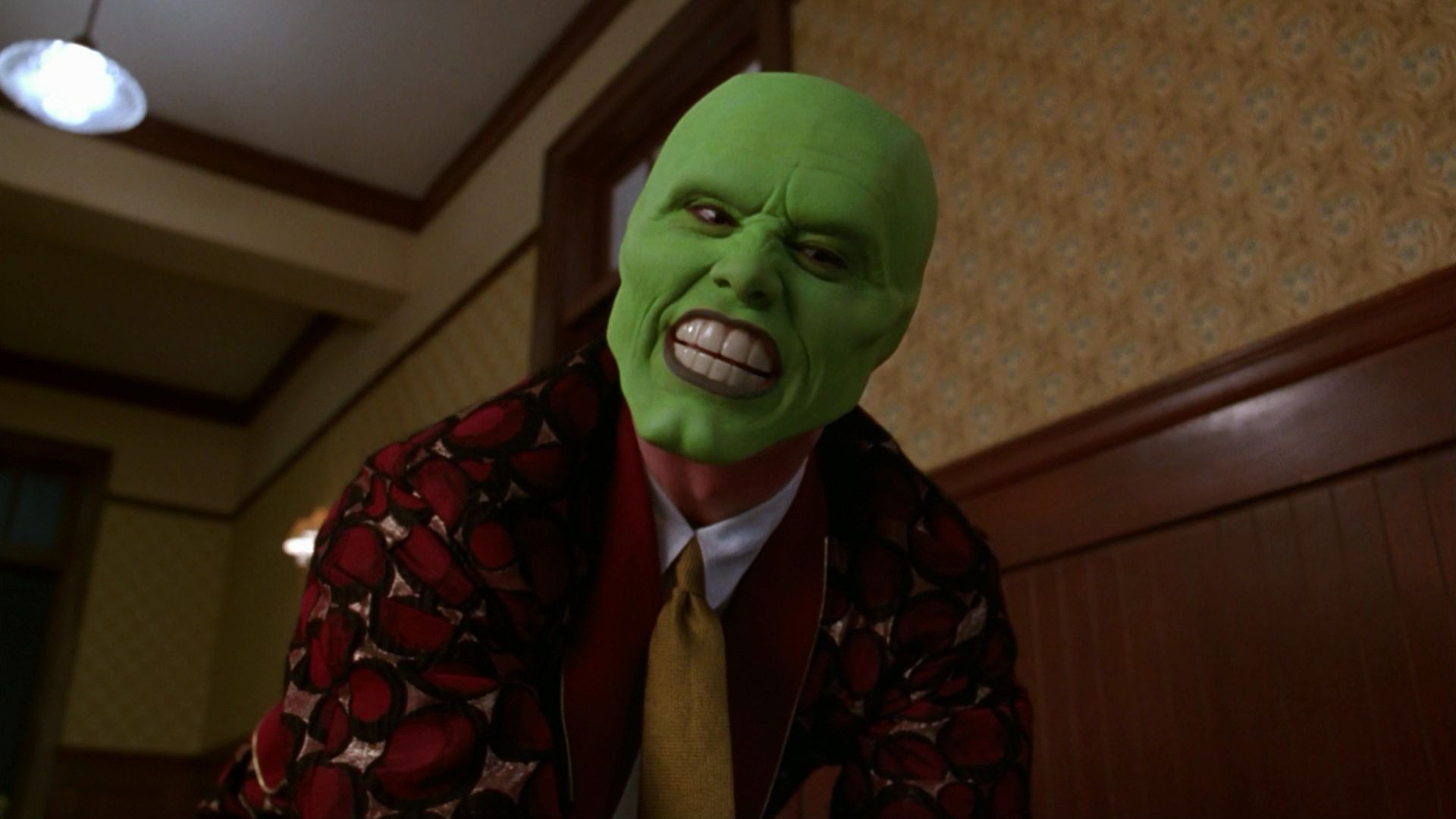 واحد صورة الكبار ارتداء شخص في الداخل تعبيرات الوجه الإدارة