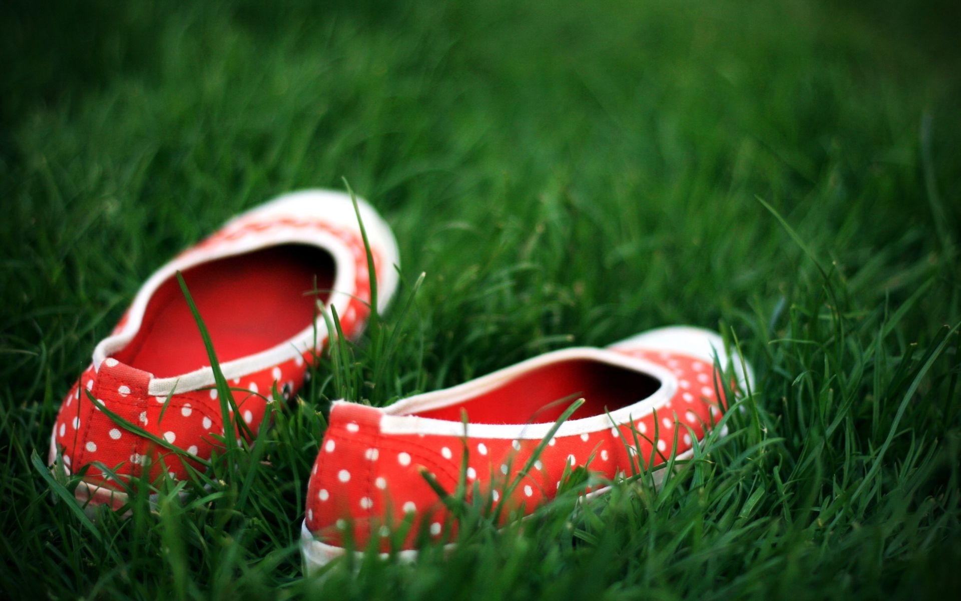 العشب الصيف الحقل الجلود اللون الحديقة الترفيه الأحذية في الهواء الطلق اثنين هايماكينغ زوجين الطبيعة قرب