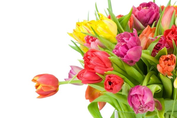 باقة من زهور الأقحوان لقضاء عطلة نسائية