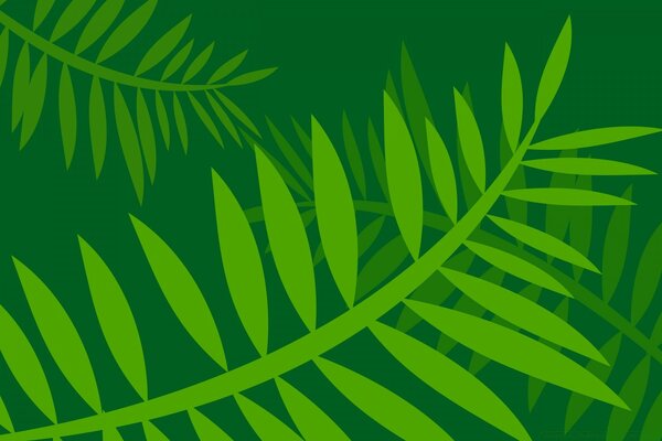 أوراق خضراء على خلفية خضراء داكنة ، رسومات متجهة