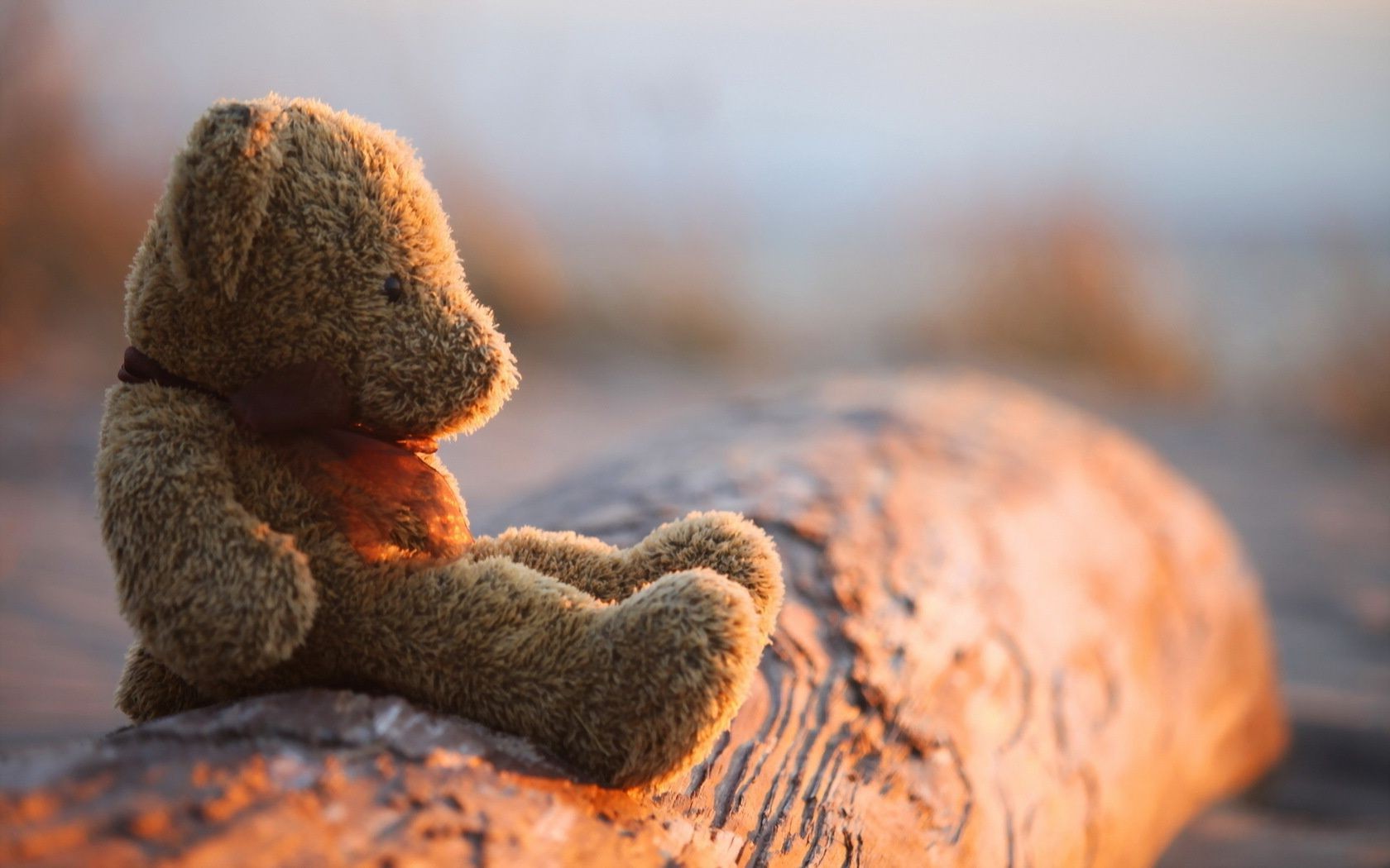 الطبيعة في الهواء الطلق طعام