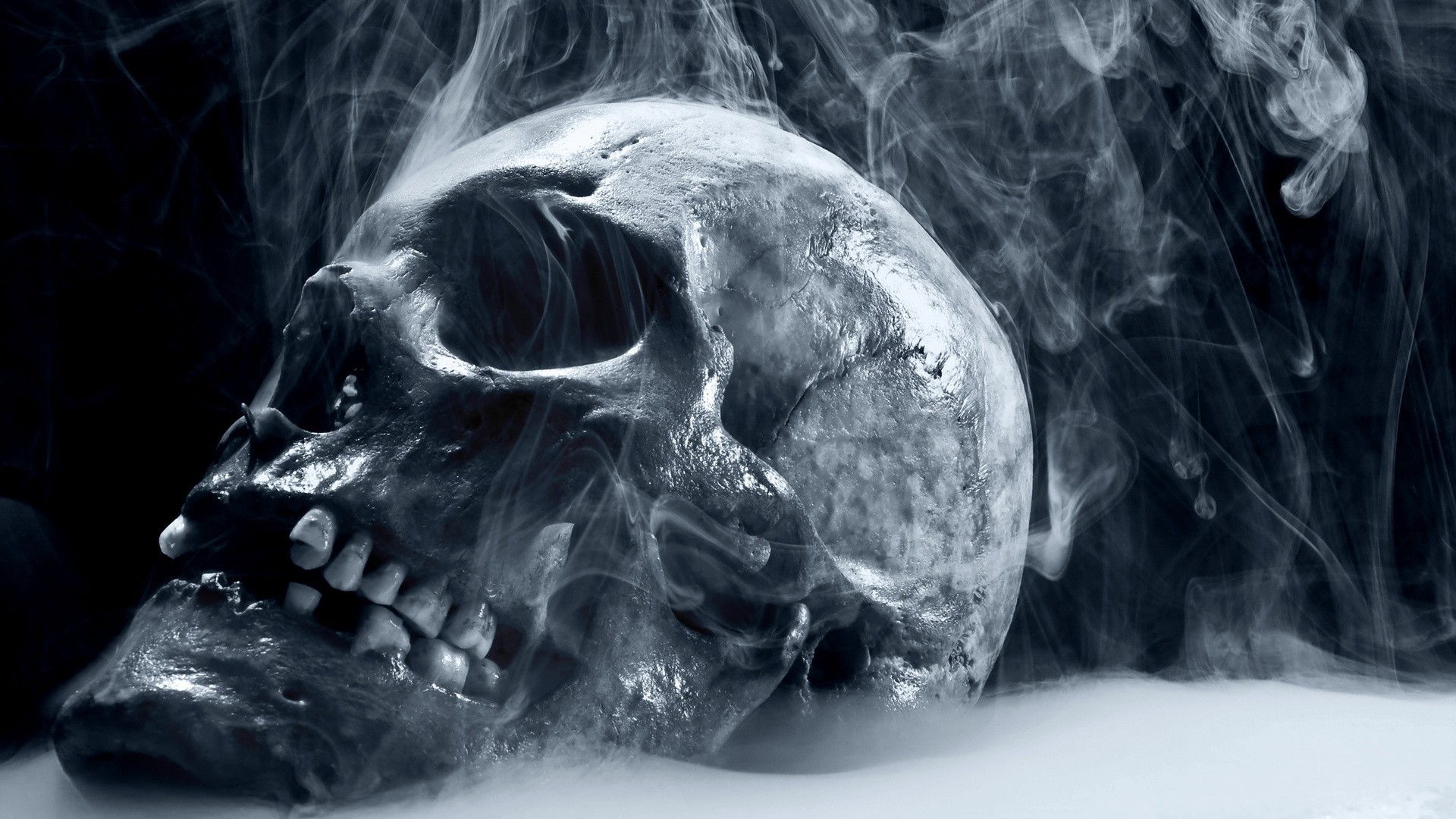 خطر فن هالوين جمجمة رعب