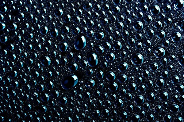 قطرات الندى بعد المطر