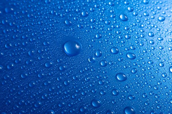 قطرات الندى على خلفية زرقاء