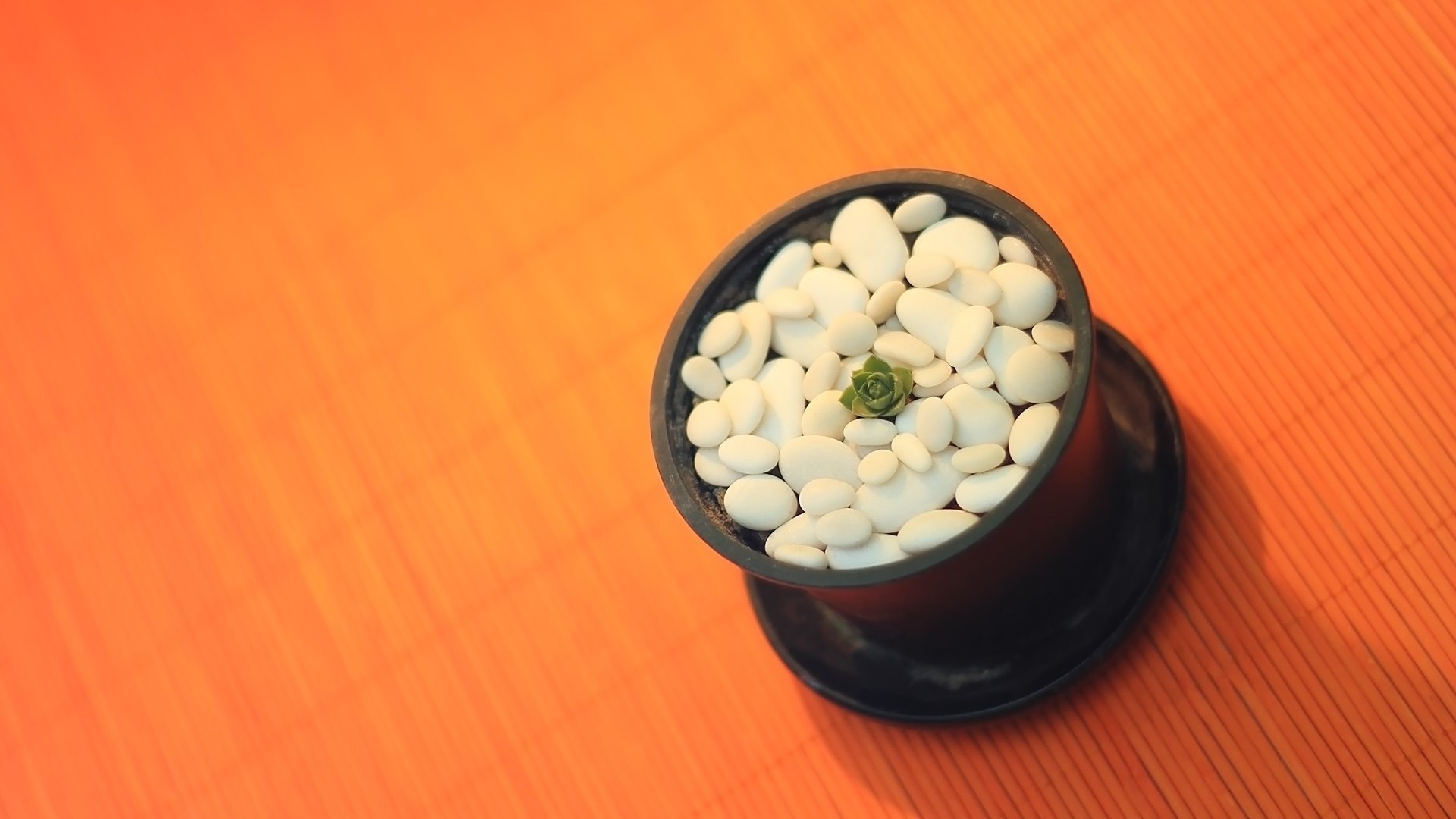 الغذاء الطب سطح المكتب الصحة وعاء الخشب لا تزال الحياة صحية