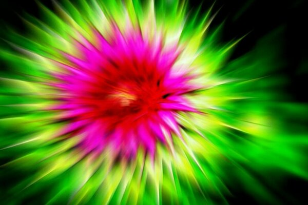 لقطة ضبابية لزهرة الأرقطيون ، مشرقة ولكن الأرقطيون بطريقة بسيطة