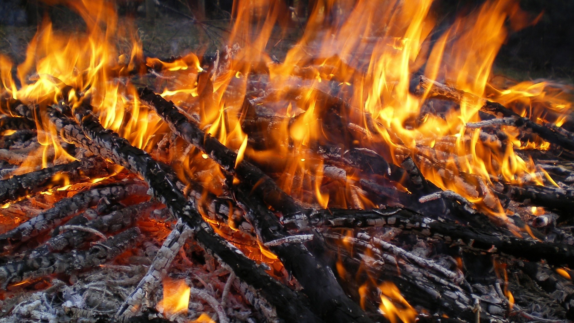 لهب نار نار حرارة فحم موقد حرق فحم حطب رماد جحيم حرارة دخان حريق قابل للاشتعال إشعال نار درجة حرارة مخيم