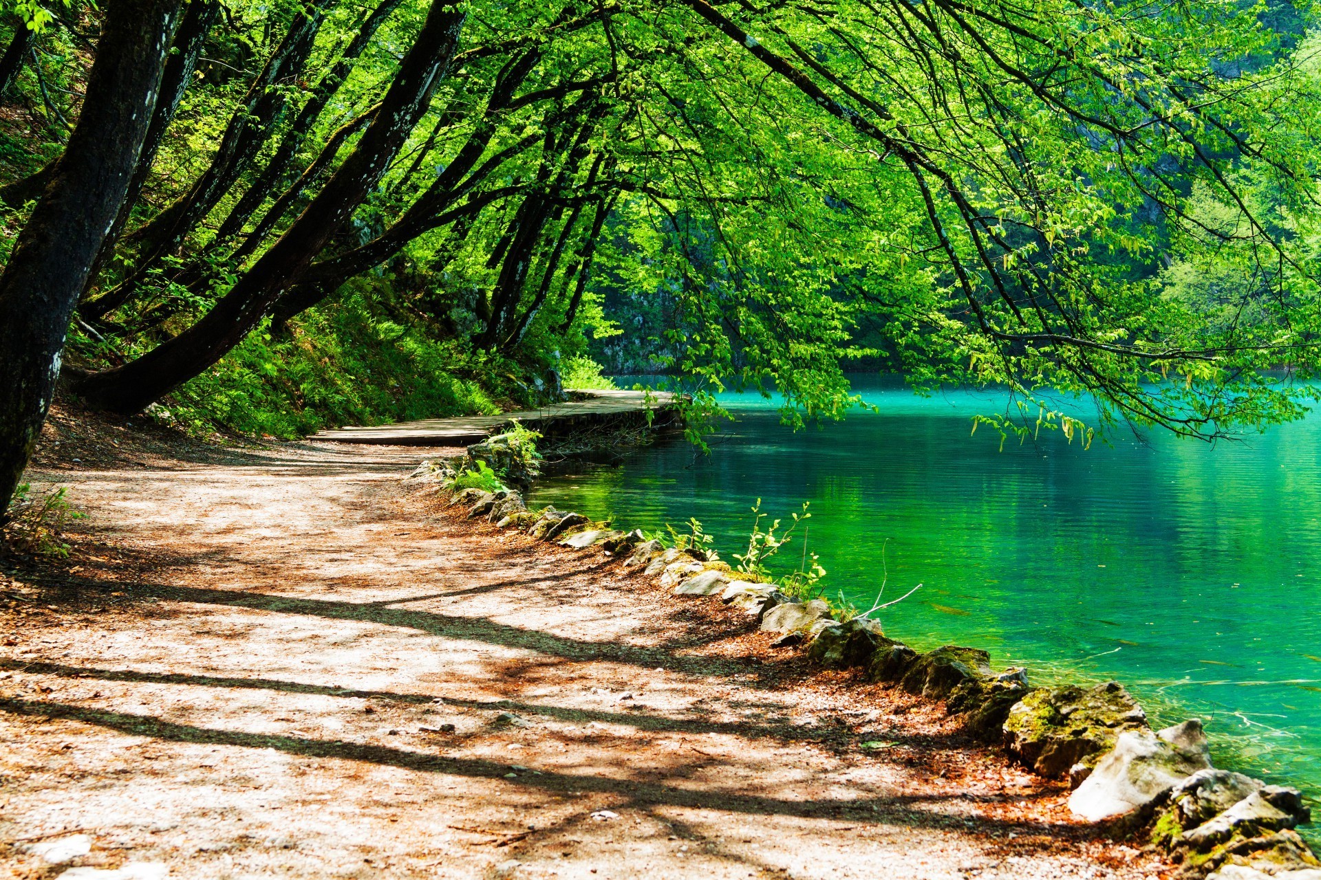 الخشب الطبيعة المياه شجرة المناظر الطبيعية ورقة الصيف في الهواء الطلق المناظر الطبيعية الخلابة الطقس الجيد بارك الموسم السفر المناظر الطبيعية البرودة الشمس الخصبة المشهد