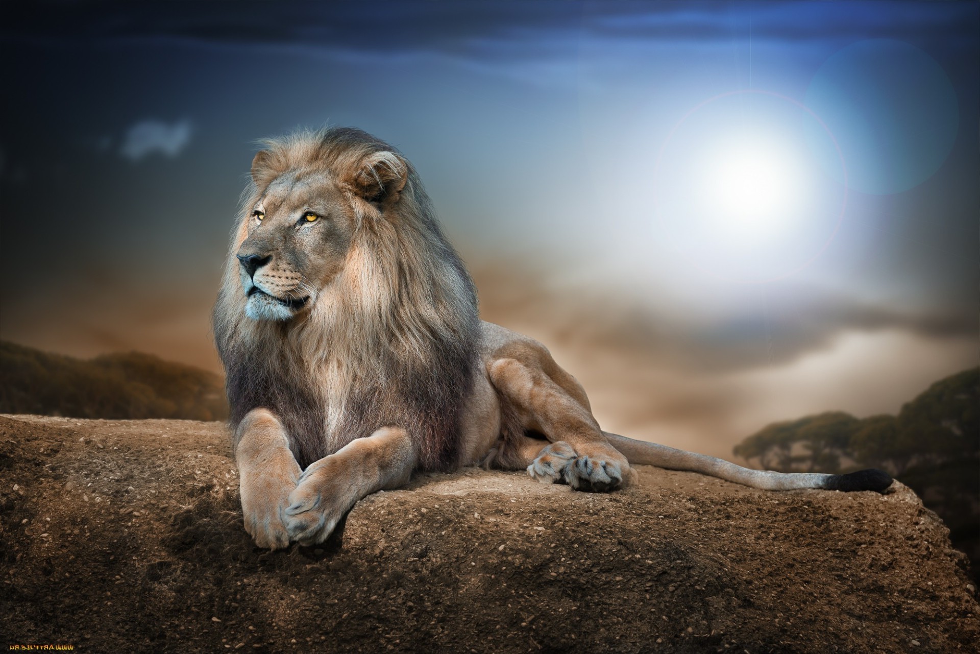 الثدييات والأسد والحياة البرية