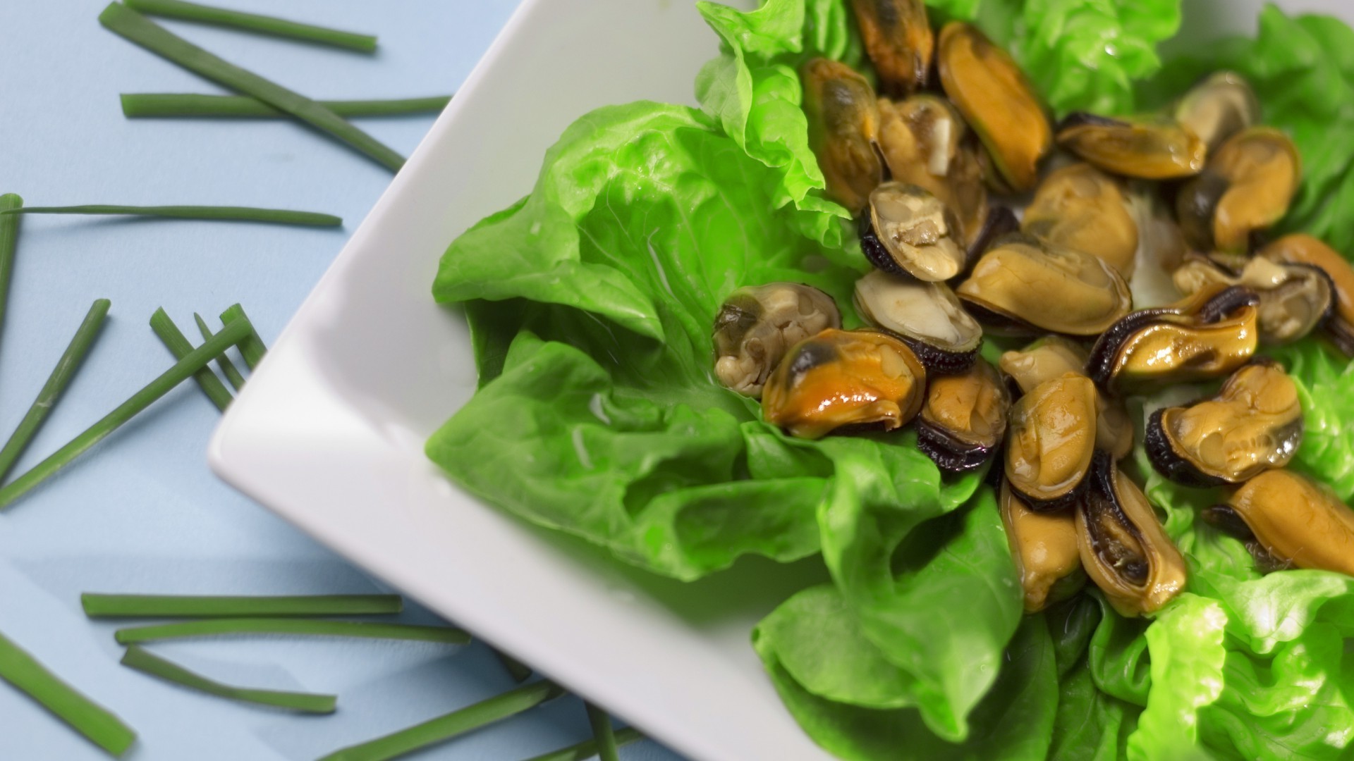 الغذاء صحي الخضار التغذية المطبخ ورقة الطبخ الصحة النظام الغذائي سلطة التغذية العشاء عن قرب طبق الغداء لذيذ الأبيقوري سطح المكتب لذيذ